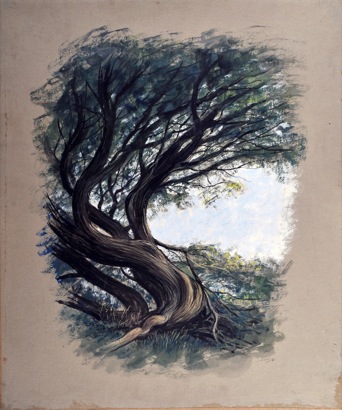 Mario Russo “albero della sardegna” 1981 50 x 60